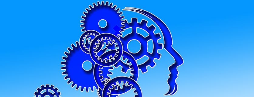 services-neuropro-consulting