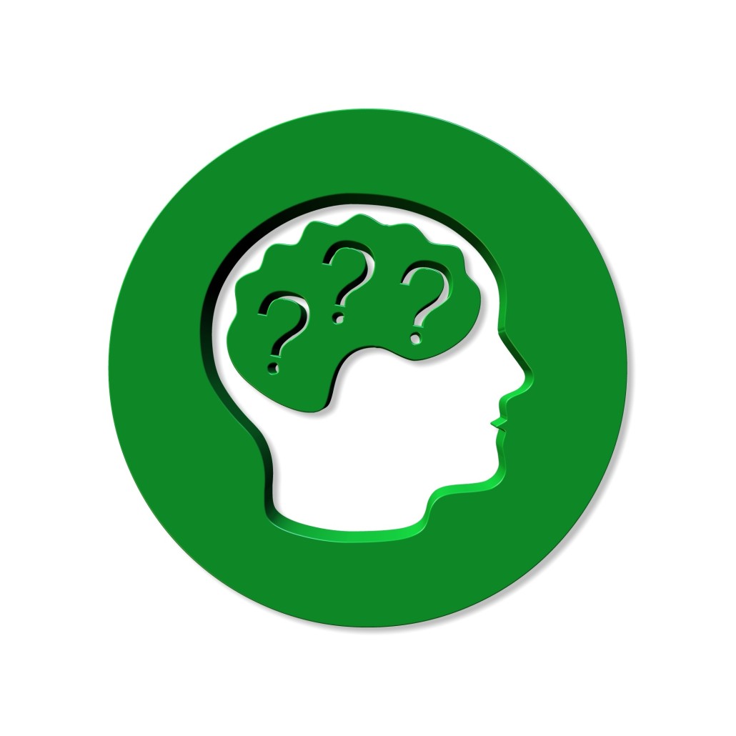 cerveau neurosciences, vulgarisation enjeux société