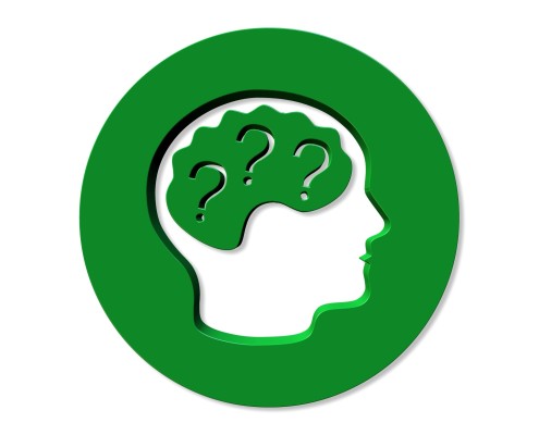 cerveau neurosciences, vulgarisation enjeux société