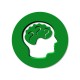 cerveau neurosciences, vulgarisation enjeux société