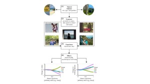 bien etre green well being psychologique performance ecologie environnement nature environnement cerveau