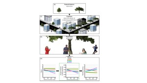 bien etre green well being psychologique performance ecologie environnement nature environnement cerveau