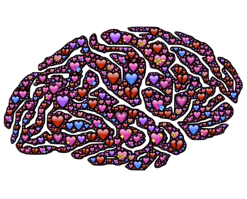 heureux bien-être psychologie positive bonheur gestion stress émotion numérique