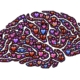 heureux bien-être psychologie positive bonheur gestion stress émotion numérique